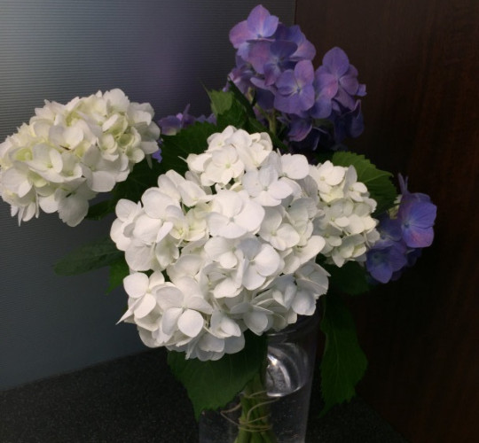 $recommendpost['title']