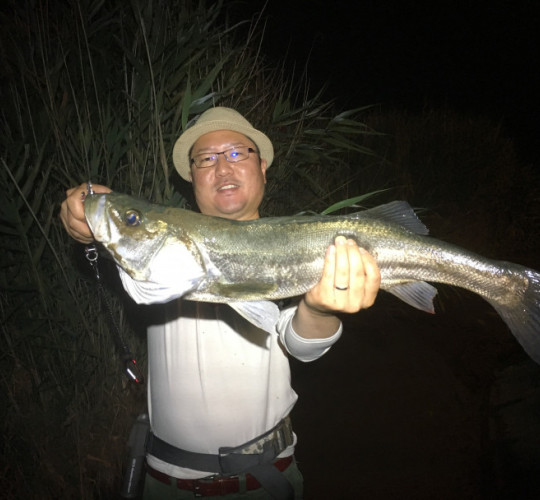 $recommendpost['title']