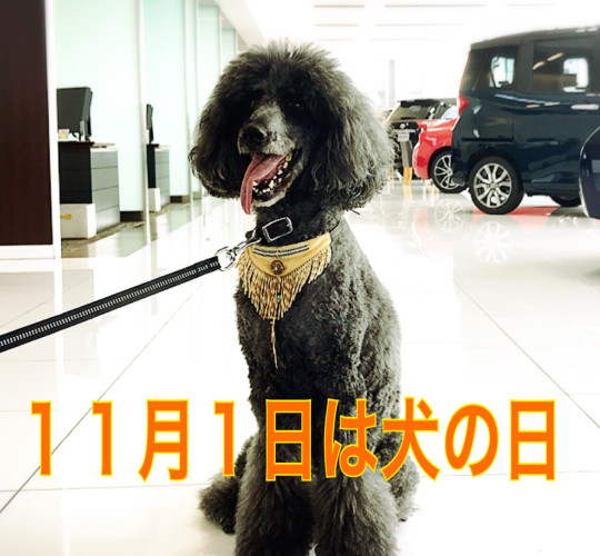 $recommendpost['title']