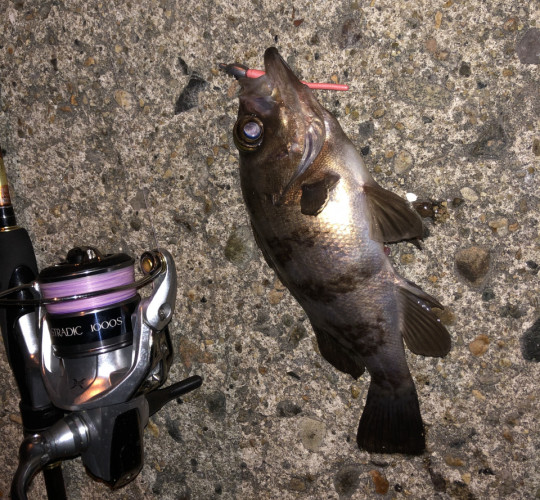 $recommendpost['title']