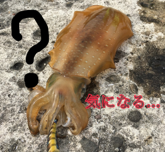 $recommendpost['title']