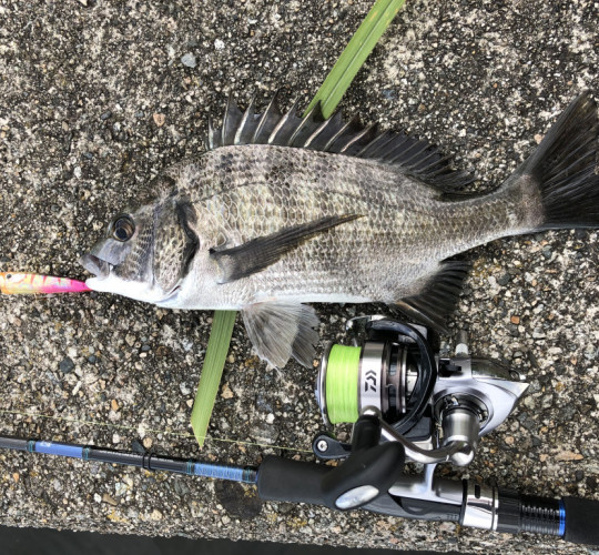 $recommendpost['title']