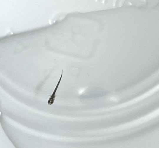 $recommendpost['title']