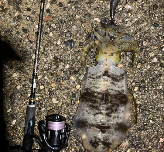 $recommendpost['title']