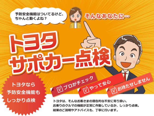 サポカー点検