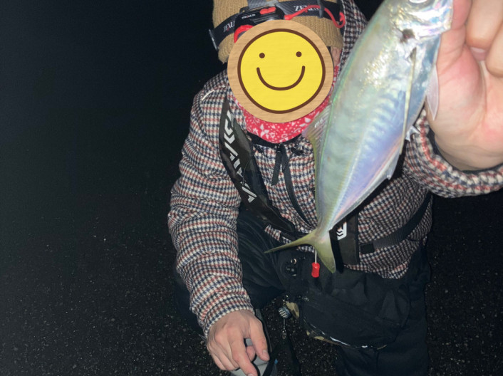 冬の七尾湾、癒しを求めてライトゲーム！
