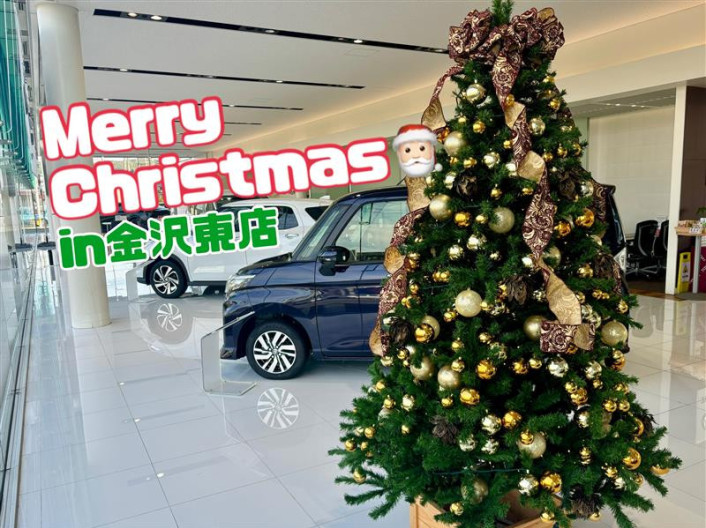 今年もクリスマスツリーがやってきましたꊛ✧✧