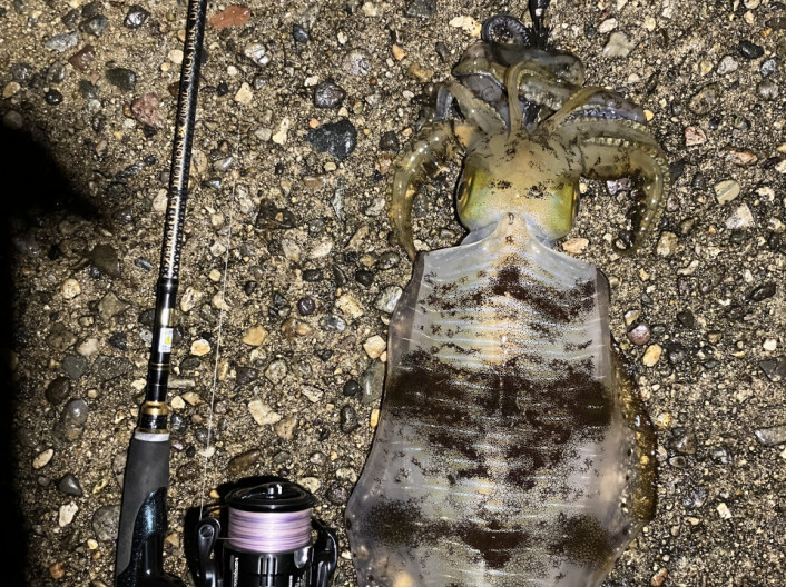 釣り部活動報告